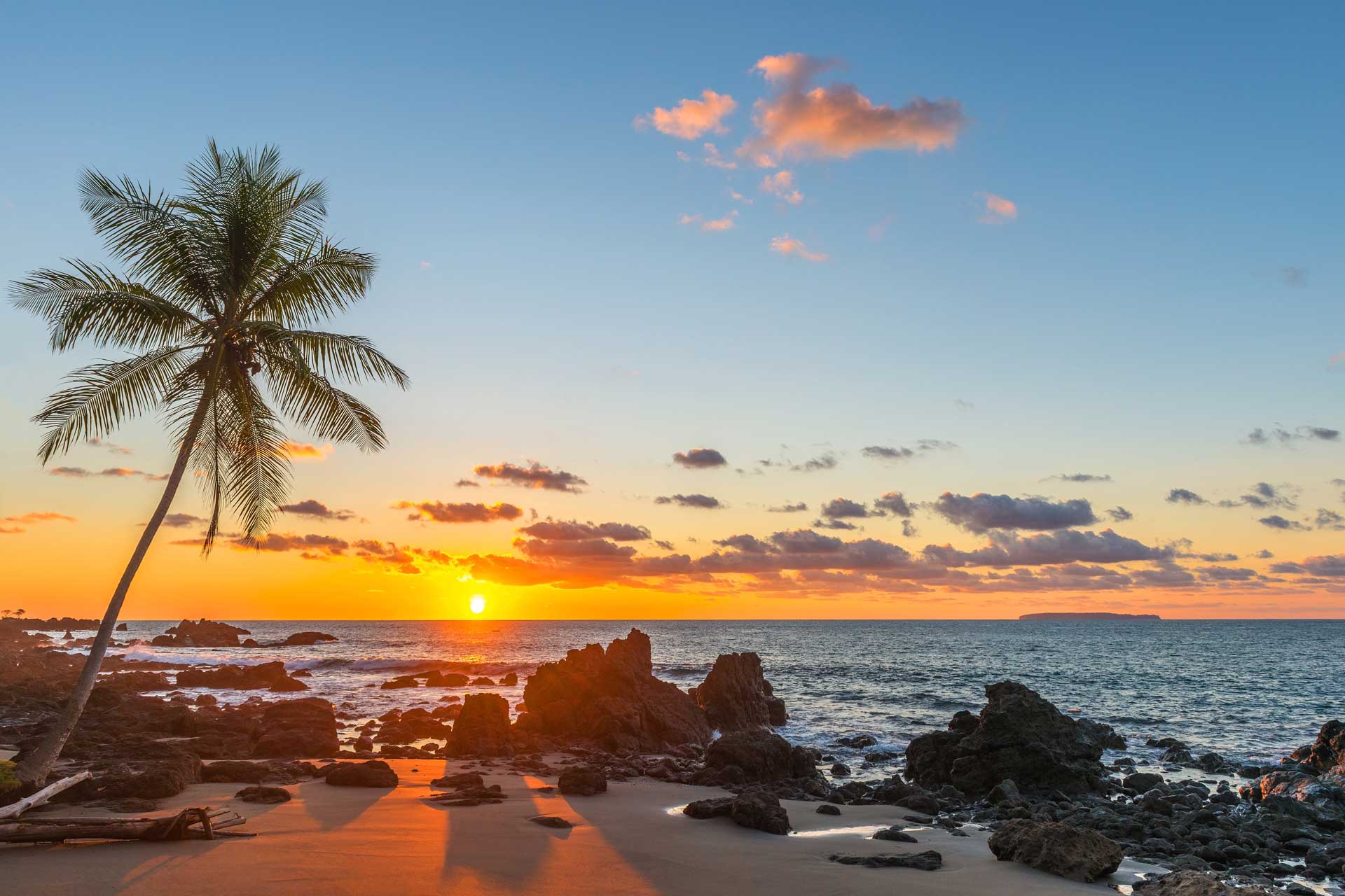 Silhouette of a palm tree and a sand beach inside Corcovado National Park with a view over the Pacific Ocean at sunset, Osa Peninsula, Costa Rica, Central America.