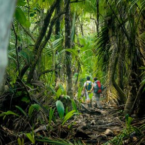 Two hikers make their way through the thick jungle of Corcovado National Park, Costa Rica