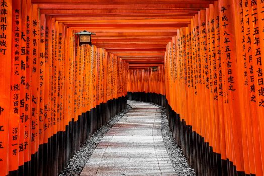 Red Torii gates in Fushimi Inari shrine in Kyoto, Japan