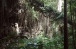 Wilderness & Nature