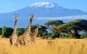 Kenya
