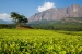Malawi