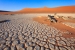 Namibia